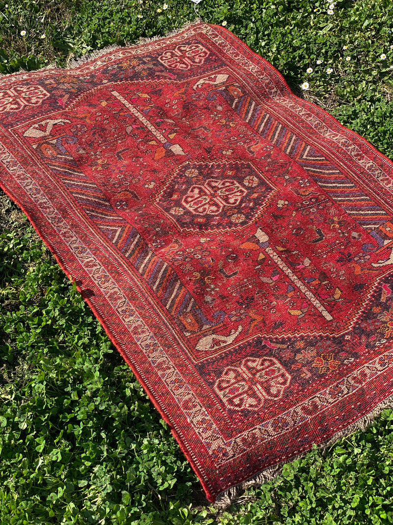 Tappeto Persiano Shiraz Qashqai 140x100cm