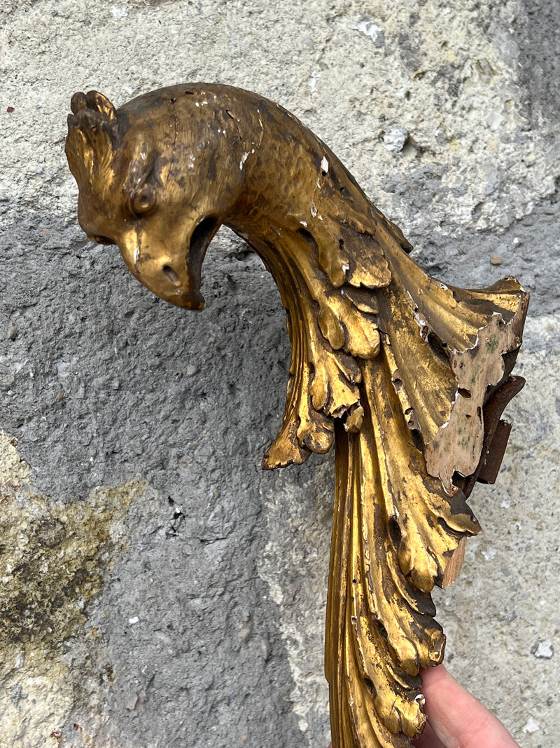 Fregio in legno dorato aquila
