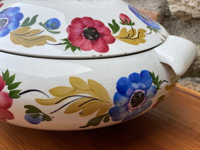 Zuppiera Mondovì Richard Ginori Anemoni anni '60
