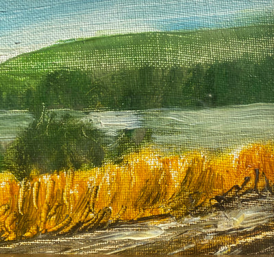 Paesaggio Colline - Antonio Padricelli