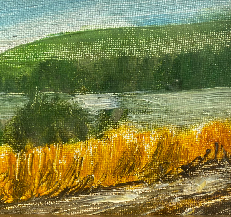 Paesaggio Colline - Antonio Padricelli