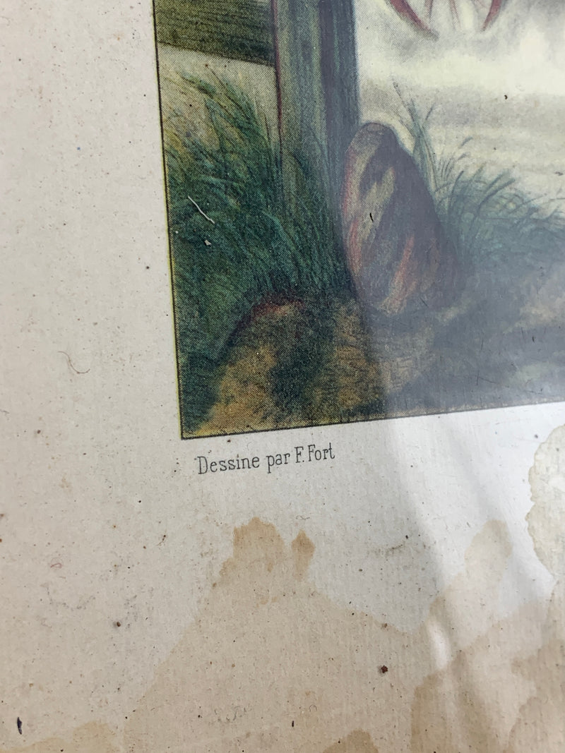 Vassoio in legno stampa francese