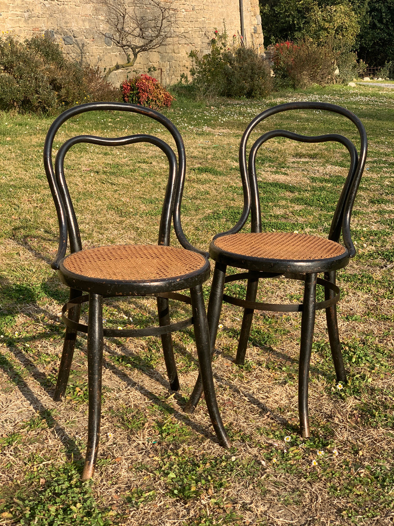 Coppia sedie Thonet