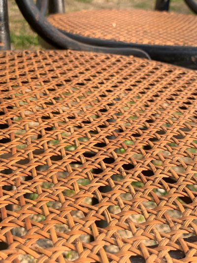 Coppia sedie Thonet