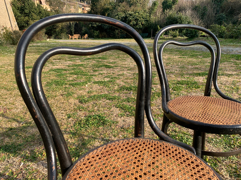 Coppia sedie Thonet
