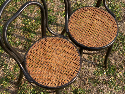 Coppia sedie Thonet