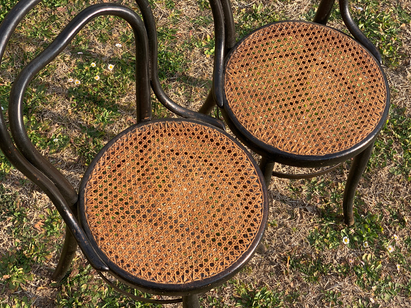 Coppia sedie Thonet