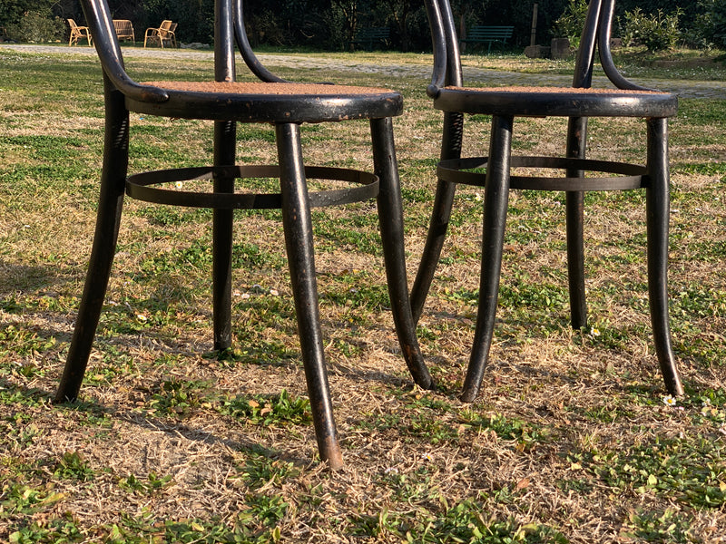 Coppia sedie Thonet