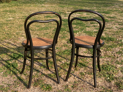Coppia sedie Thonet