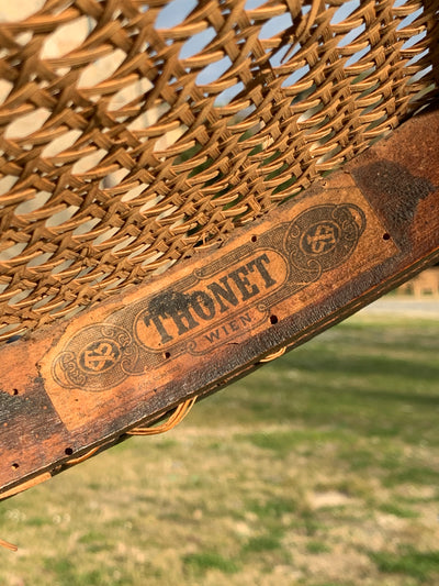 Coppia sedie Thonet