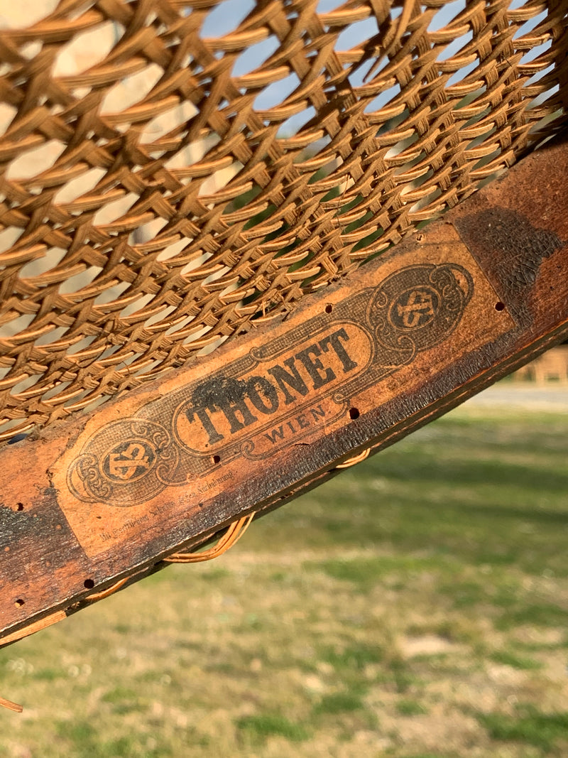 Coppia sedie Thonet