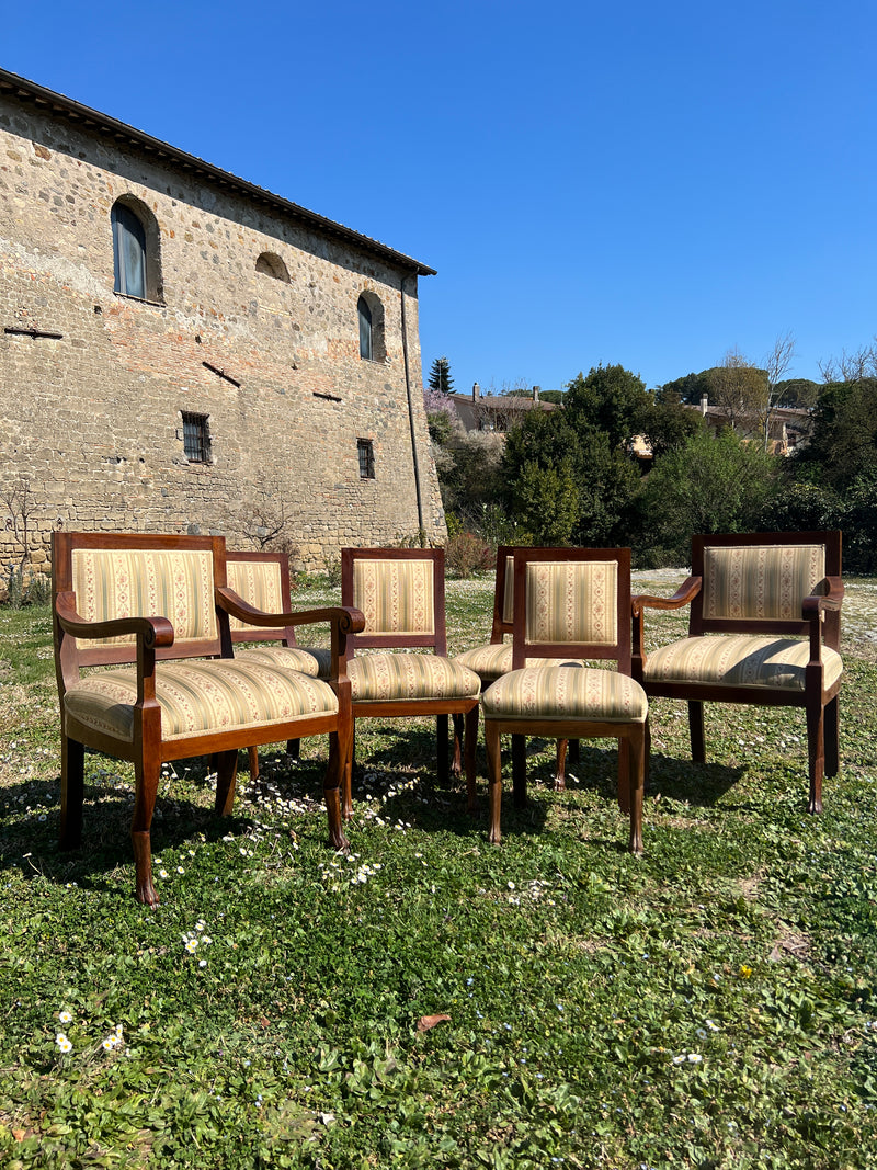 Set di sei sedie stile Impero con tessuto Liserè a motivo floreale. Il set è composto da due capotavola con braccioli e altre 4 sedie senza, tutte in legno massello con piedi leonini anteriori.