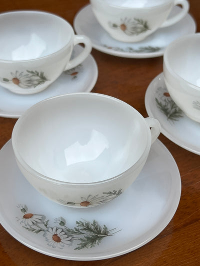Servizio di quattro tazze da caffè vintaage con decorazione di margherite in vetro lattimo prodotte da Arcopal Francia.