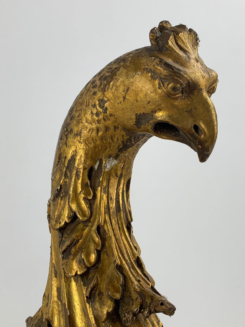 Fregio in legno dorato aquila