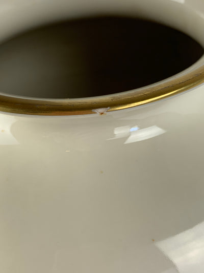 Vaso porcellana Bavaria pavone